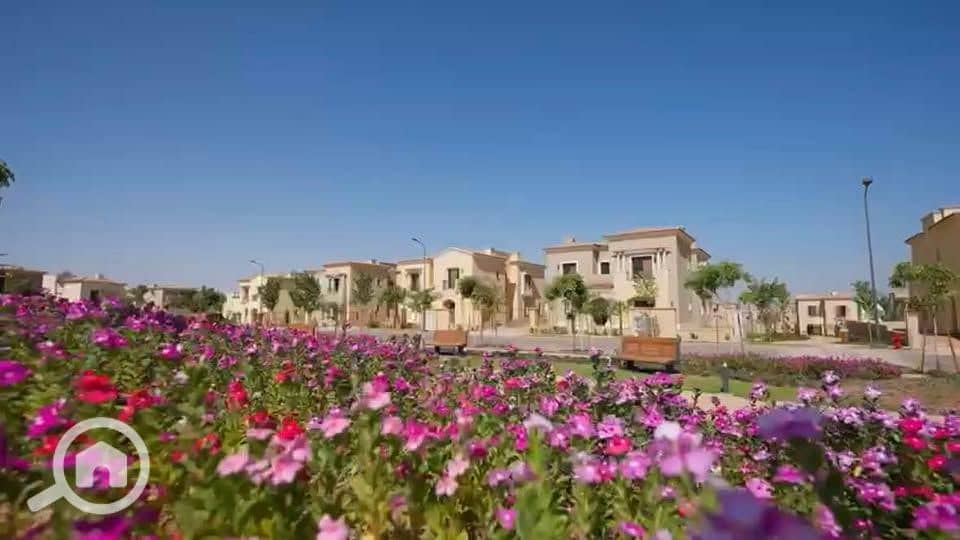 3 574483909_2973993152950249_5535362614515014372_n. jpg