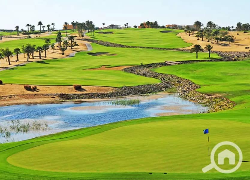 8 d8b815aa-eca9-4de6-a845-5d42530fd69c. jpg