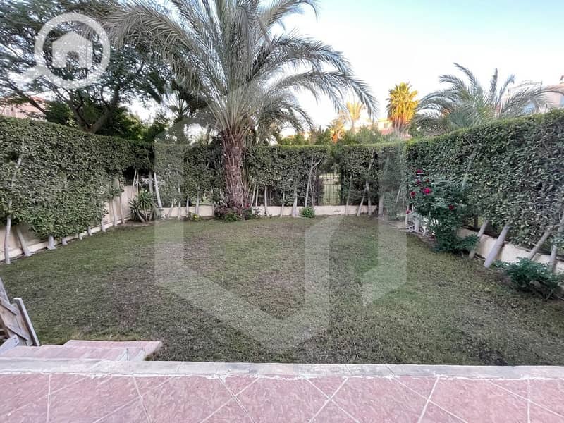 13 Zayed 2000 13. jpg