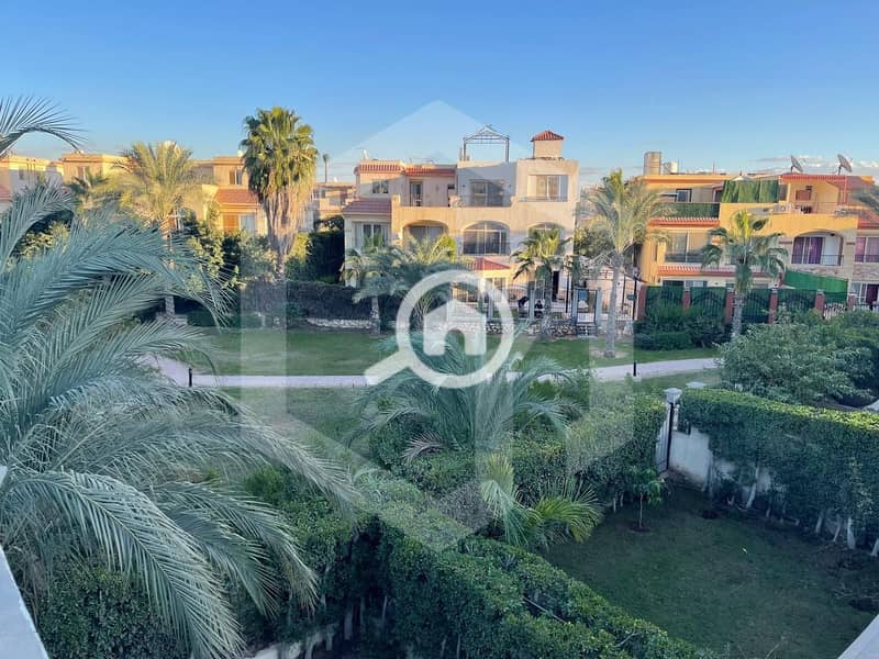 14 Zayed 2000 14. jpg