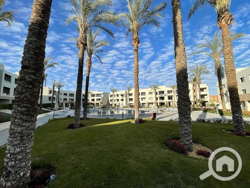 13 272253574_5487356227958113_27282034862696315_n. jpg