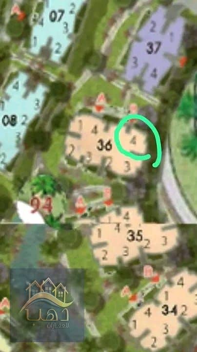 6 WhatsApp Image 2025-09-07 at 3.06. 02 PM (1). jpeg