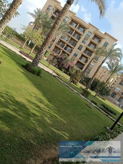 3 Bedroom Flat for Rent in New Cairo, Cairo - 0cc362c1-8ce9-43d7-8600-0a7696fa4202. jpg