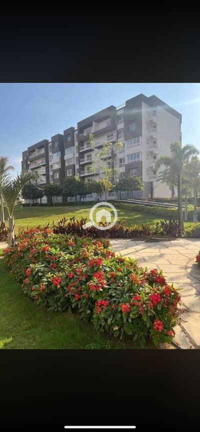 3 Bedroom Flat for Rent in Madinaty, Cairo - IMG_9210. png