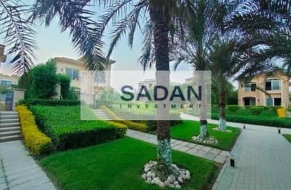 6 8b3d6b5a-44ae-4100-abd6-9f7e19f13758. jpg