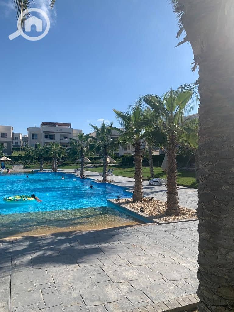 7 IMG-20241119-WA0052. jpg