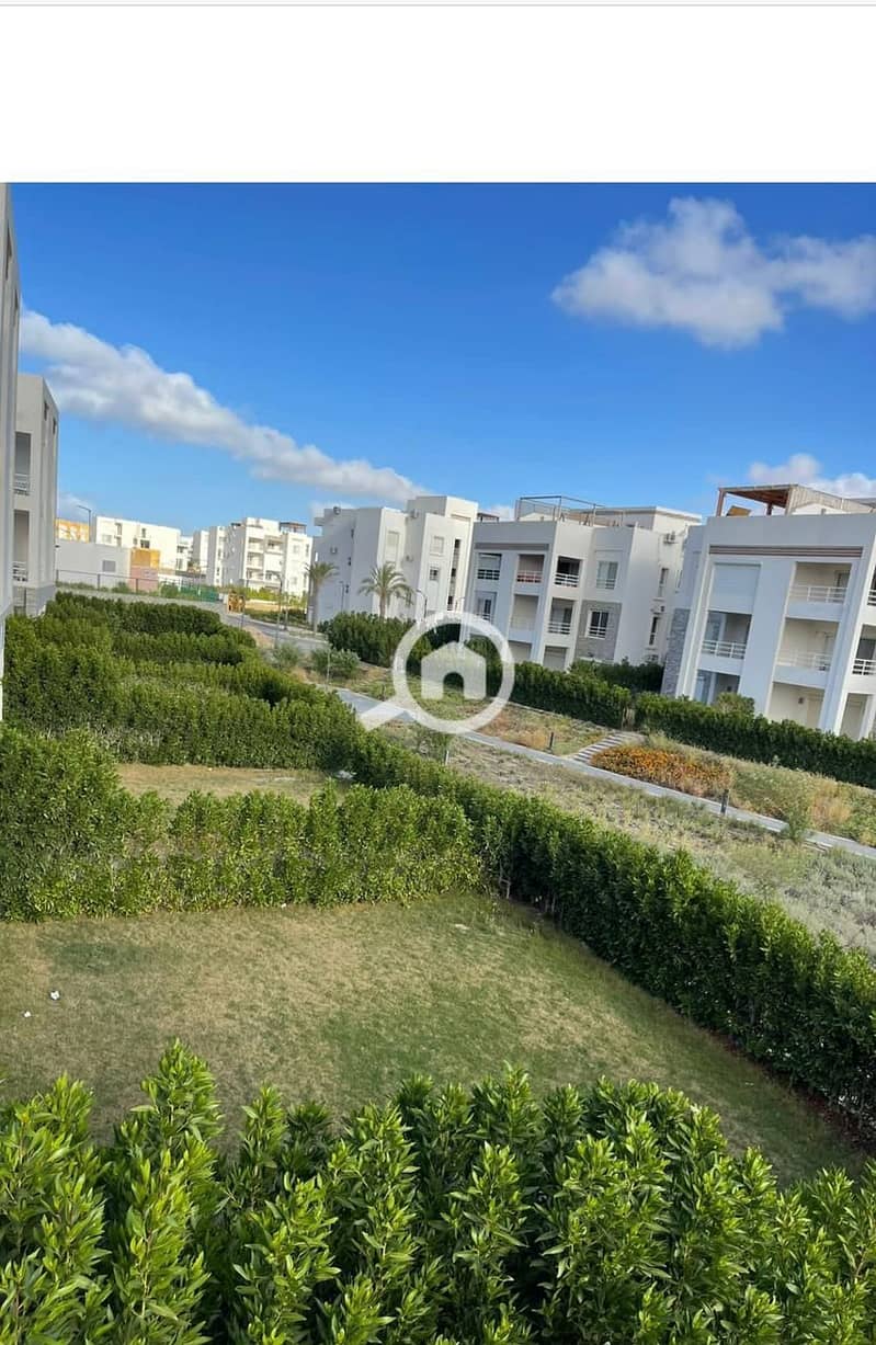 10 IMG-20241119-WA0055. jpg