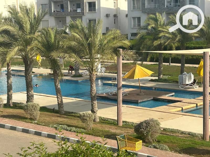 11 IMG-20241119-WA0062. jpg