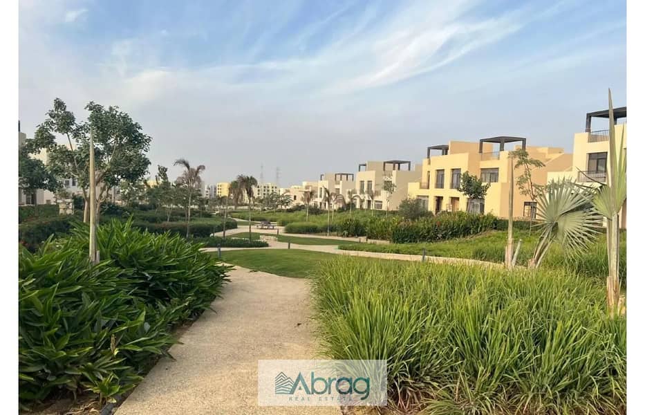 10 8391562-740f9o. jpg