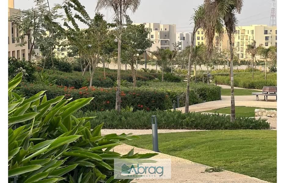 13 8391562-bad65o. jpg