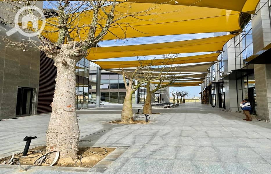 5 WhatsApp Image 2024-12-16 at 10.30. 22 AM (2)_1400x900. jpg