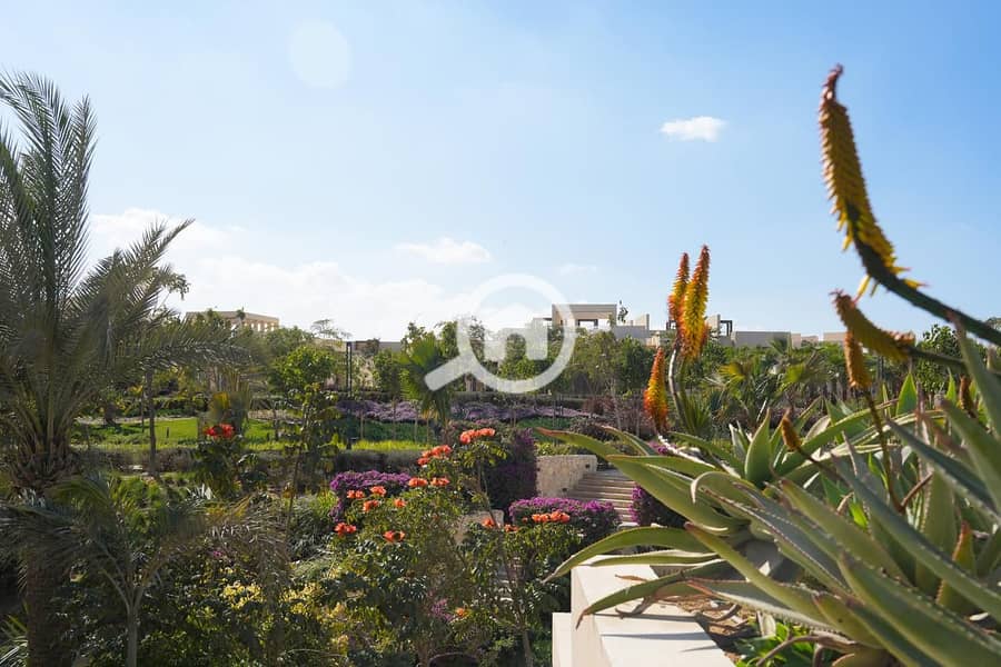 4 IMG-20251210-WA0295. jpg