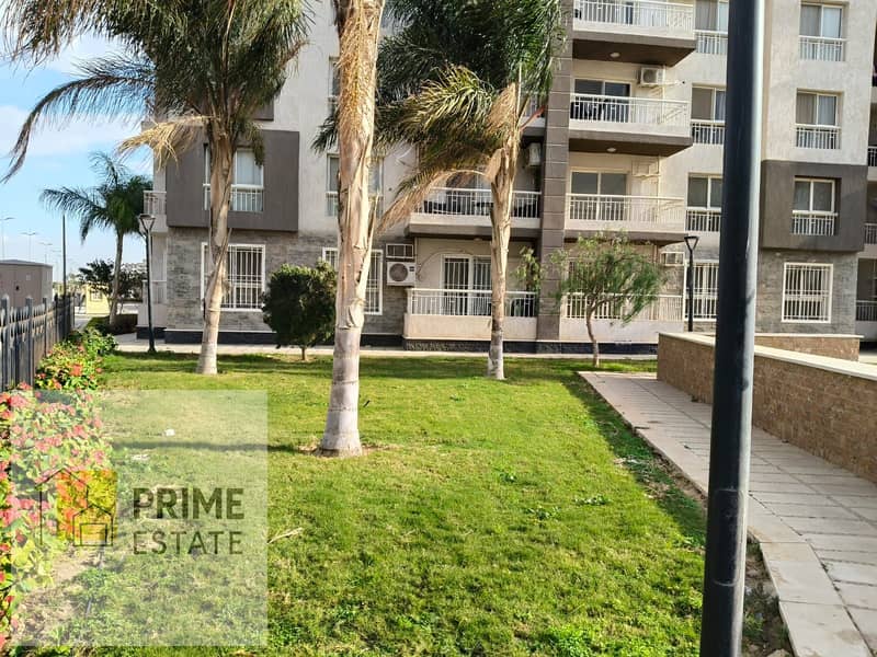 5 WhatsApp Image 2025-07-21 at 17.04. 23_bad29ead. jpg