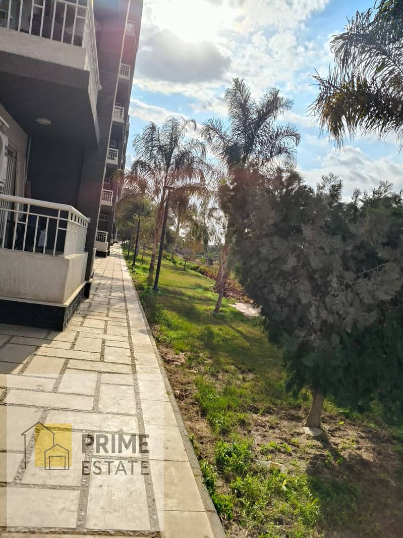 9 WhatsApp Image 2025-07-21 at 17.04. 24_f8a5d177. jpg