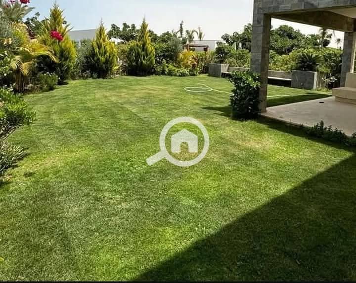 4 FB_IMG_1744513487780. jpg