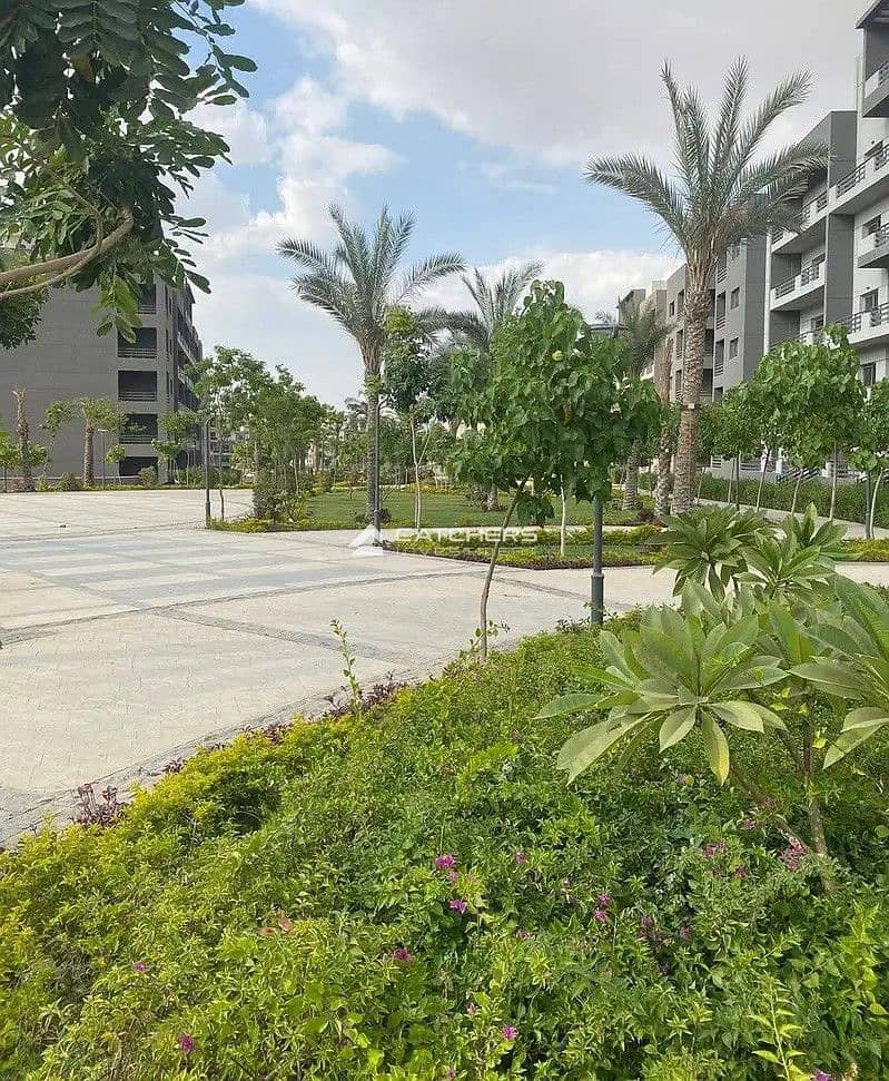 6 33504262-800x600. jpg