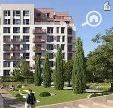 اشجار سيتي 10. jpg اشجار سيتي 10. jpg