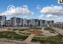 2 اشجار سيتي 9. jpg