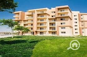 3 اشجار سيتي 8. jpg