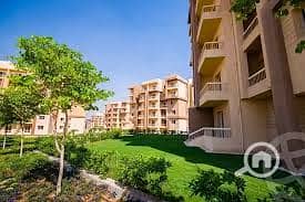 6 اشجار سيتي 4. jpg