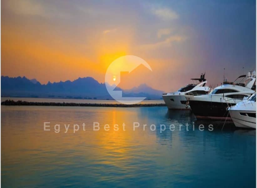 8 4474025a-87ba-47be-8feb-9be8343fe278 - Copy. jpg