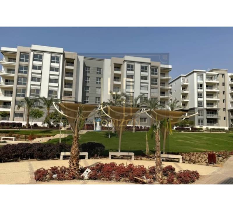 6 7963527-e4ae5o. jpg