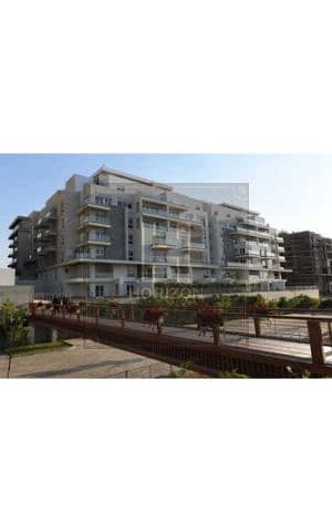 6 8048586-1cbbdo. jpg