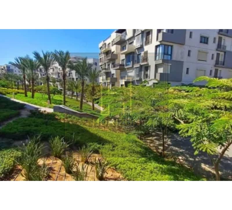 2 8366866-62232o (1). jpg