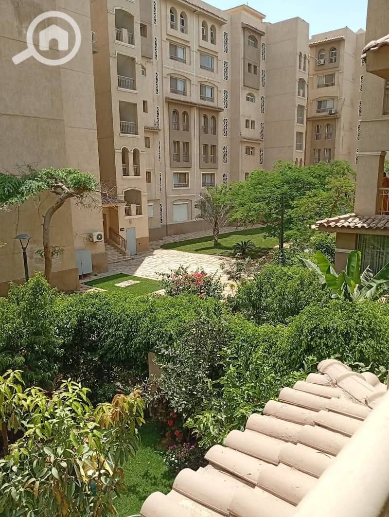 13 557f7c97-6355-4ac5-ab69-bccd4e1913ff. jpeg