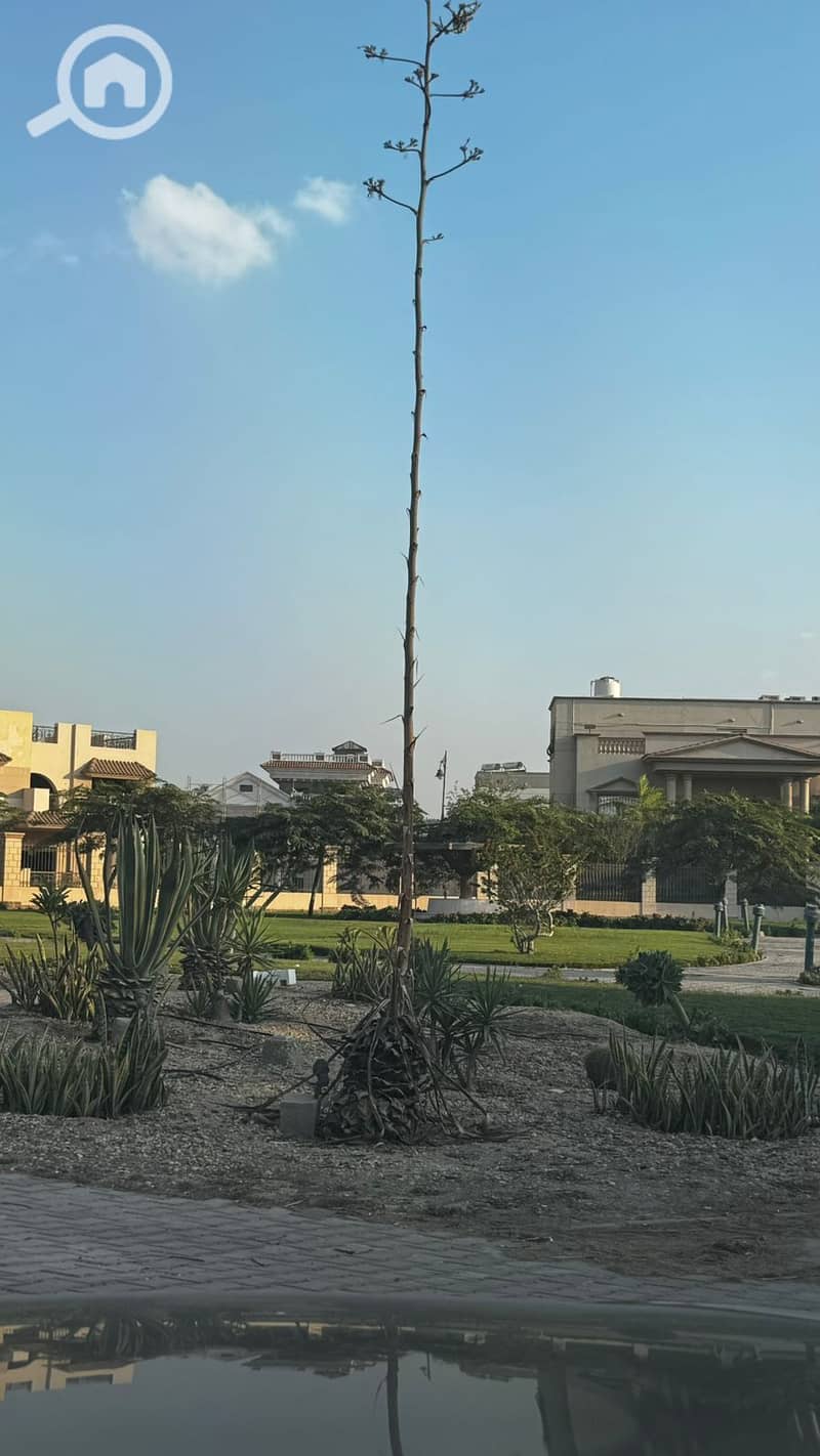 4 WhatsApp Image 2025-12-08 at 16.48. 16_577ae5ec. jpg