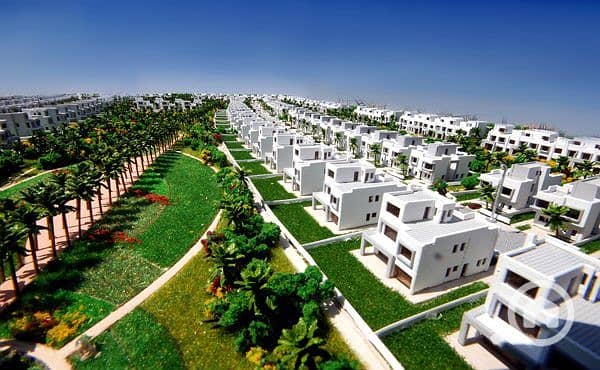 7 photo_12_2024-12-05_15-08-18. jpg