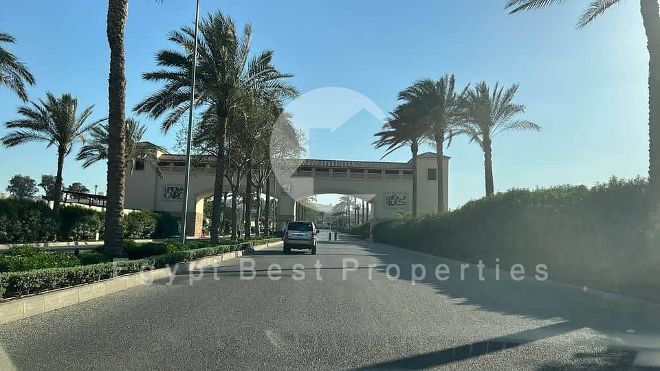 6 596765529_26047239894864171_7488522567521631680_n. jpg