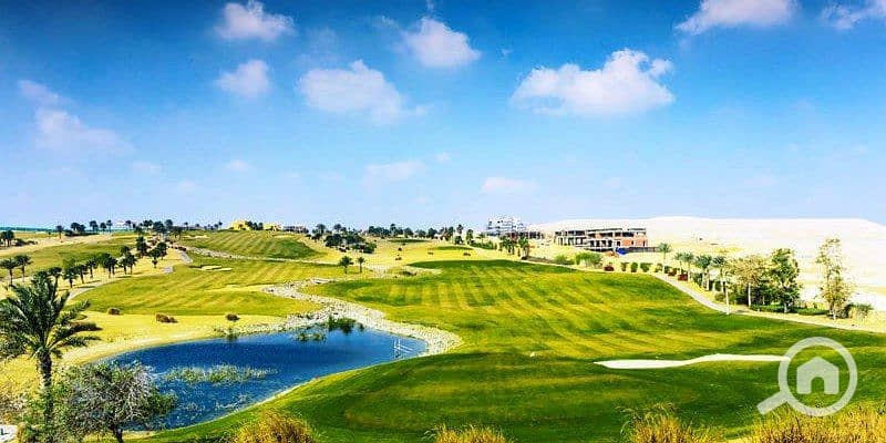 11 photo_5_2025-01-30_17-23-50. jpg