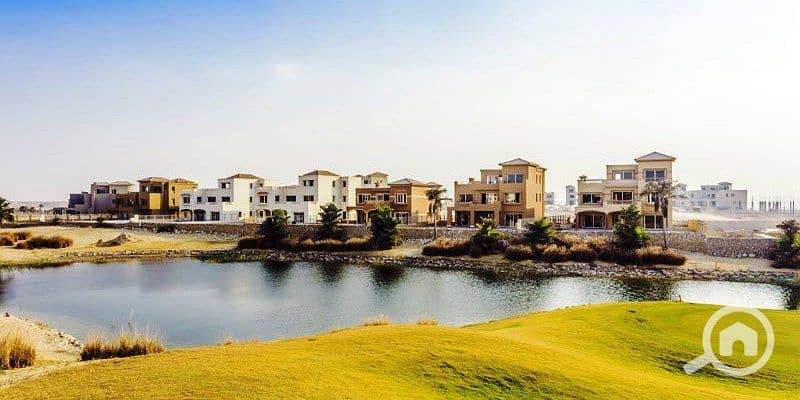 13 photo_8_2025-01-30_17-23-50. jpg