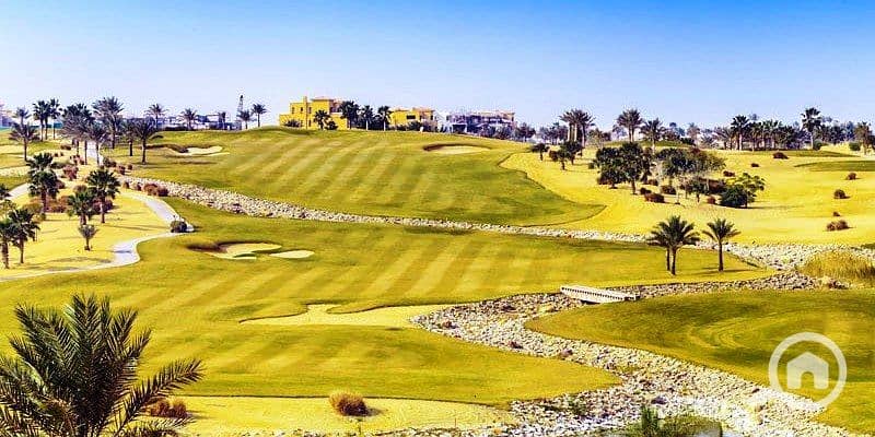 16 photo_6_2025-01-30_17-23-50. jpg