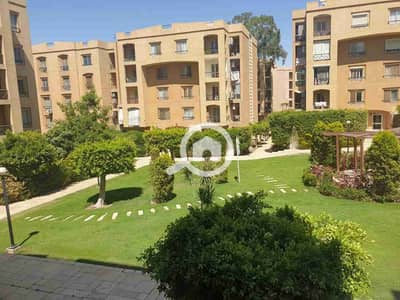 2 Bedroom Flat for Rent in New Cairo, Cairo - 1001792153. jpg 2 Bedroom Flat for Rent in New Cairo, Cairo - 1001792153. jpg