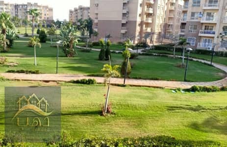 3 Bedroom Flat for Rent in Madinaty, Cairo - WhatsApp Image 2025-12-10 at 7.14. 25 PM (1). jpeg