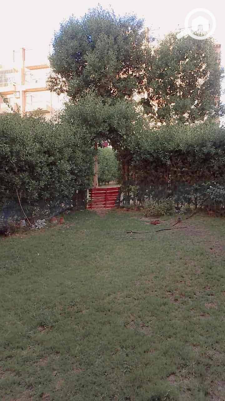 13 dc7ea28e-1e26-453e-a564-90f04275957d. jpg