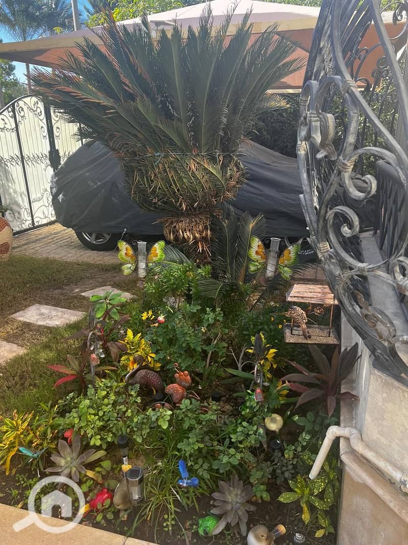 3 ae4c4fcf-38b0-4160-a88b-50c8ae97742a. jpg