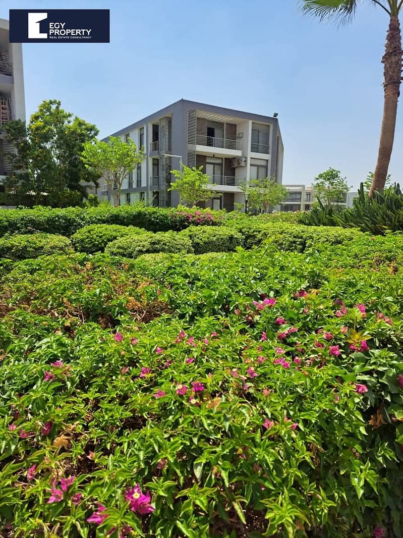 4 WhatsApp Image 2025-01-29 at 10.06. 49 PM. jpeg