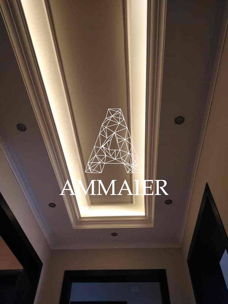 10 aaa47051-6e37-4e32-95e8-f0bf570d5904. jpg