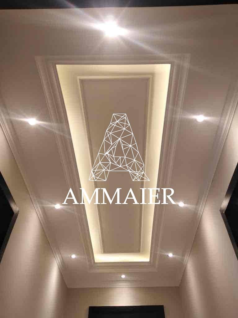 11 006c0224-b63c-4eca-8610-621b00ec9b1f. jpg