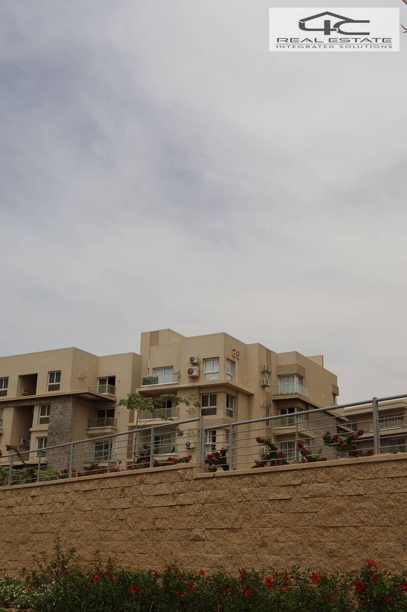 5 WhatsApp Image 2025-11-07 at 00.11. 32 (1). jpeg