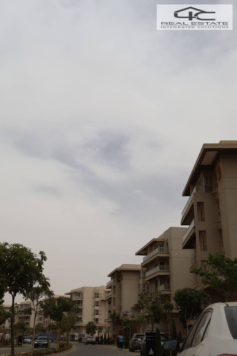 4 WhatsApp Image 2025-11-07 at 00.11. 35. jpeg