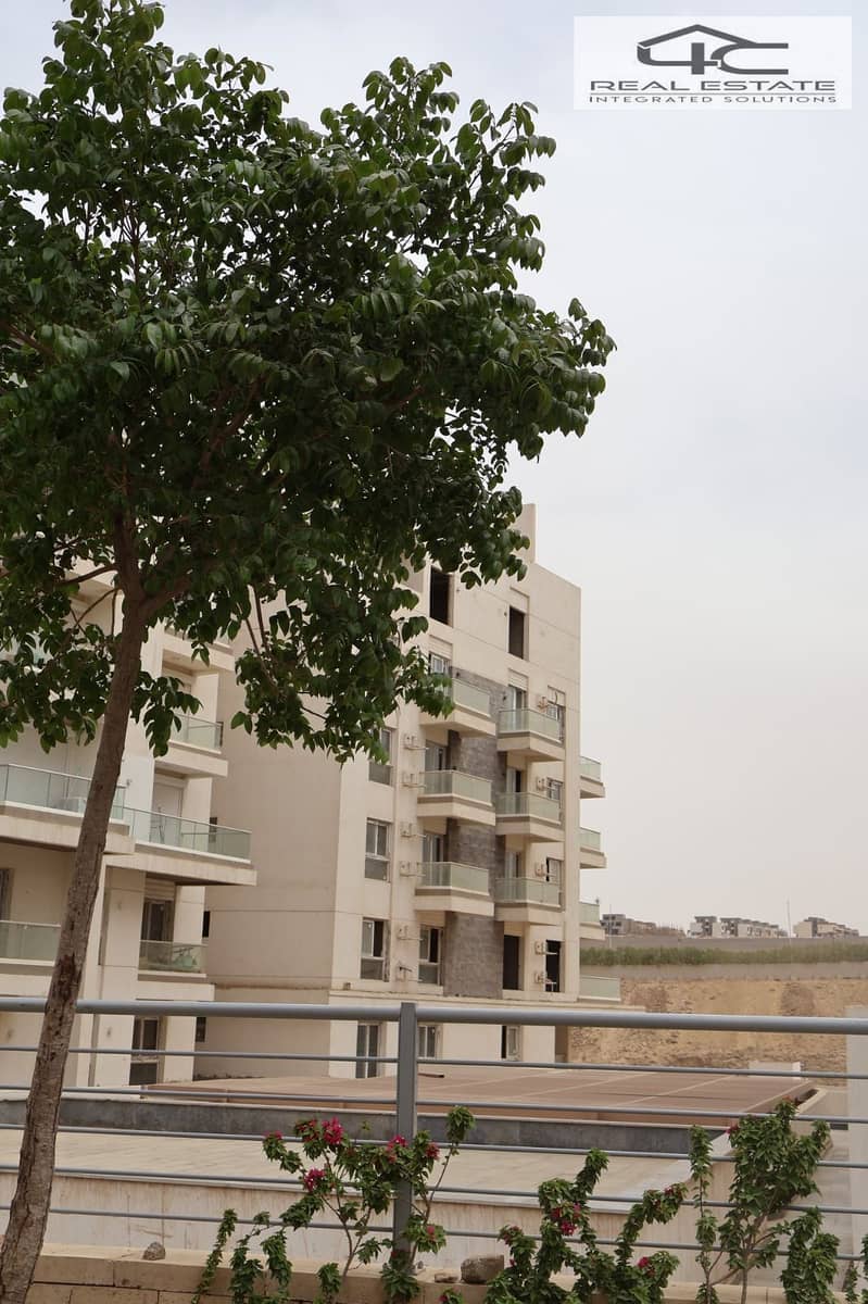 6 WhatsApp Image 2025-11-07 at 00.11. 36. jpeg