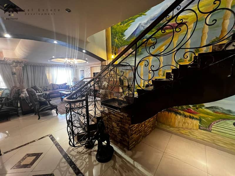 6 WhatsApp Image 2025-10-11 at 17.50. 25_aec735b4. jpg