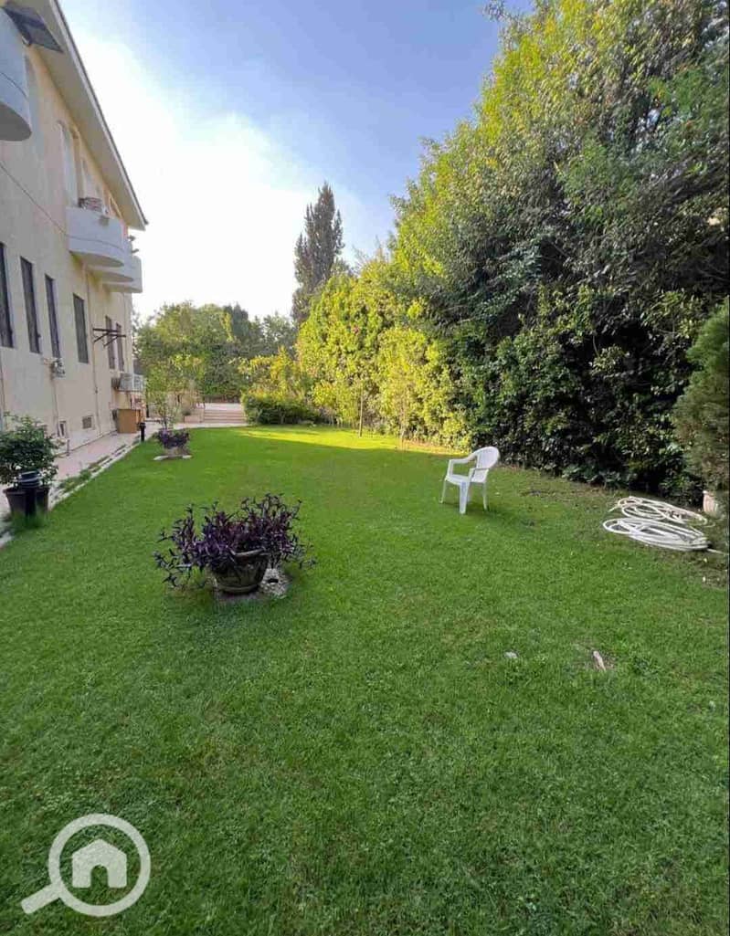 1000685494. jpg 1000685494. jpg