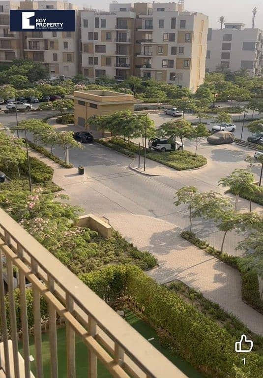 _files_IMG_7359. jpeg _files_IMG_7359. jpeg