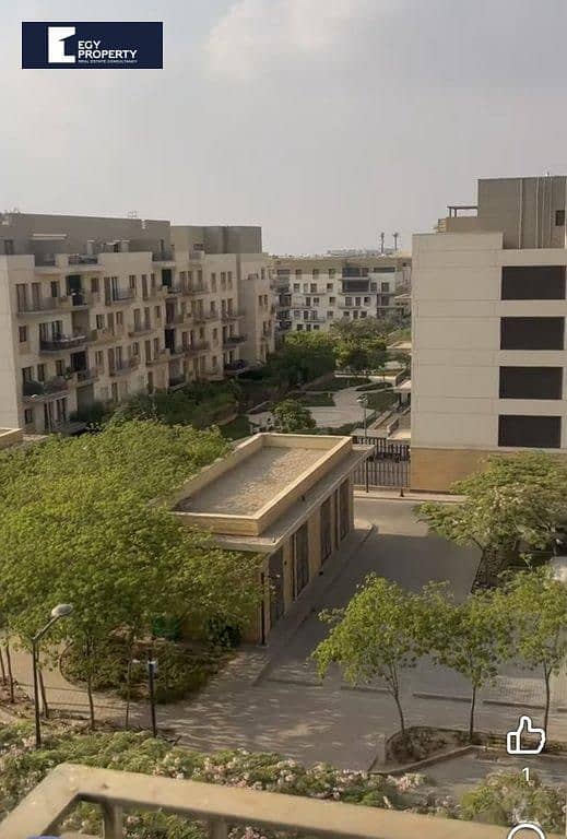 2 _files_IMG_7357 (1). jpeg