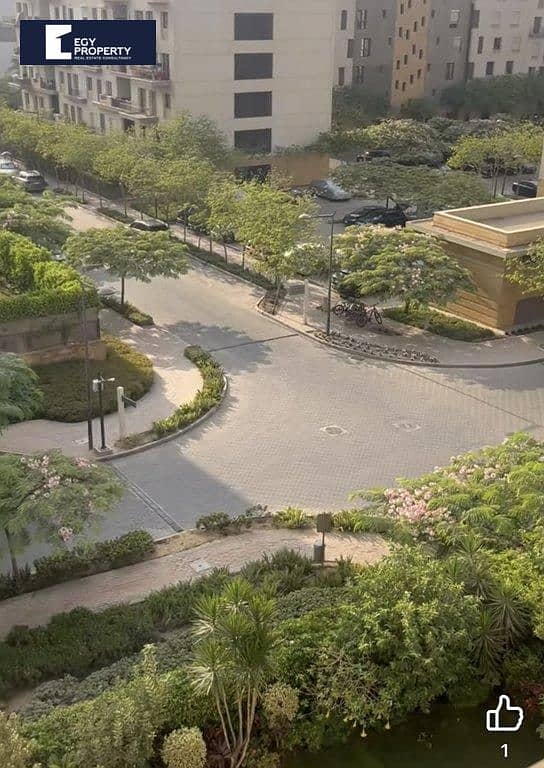 3 _files_IMG_7358. jpeg